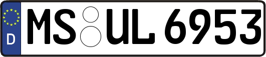 MS-UL6953