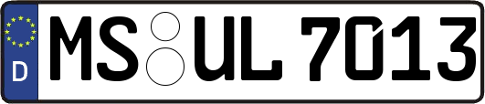 MS-UL7013