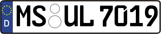 MS-UL7019