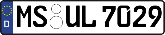 MS-UL7029