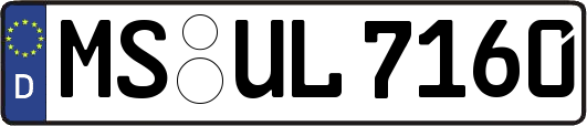 MS-UL7160
