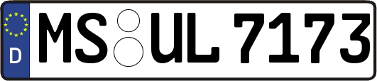 MS-UL7173