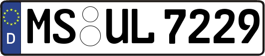 MS-UL7229