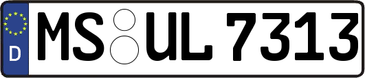 MS-UL7313
