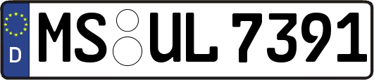 MS-UL7391