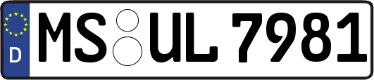 MS-UL7981