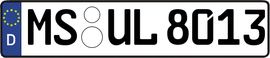 MS-UL8013
