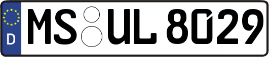 MS-UL8029