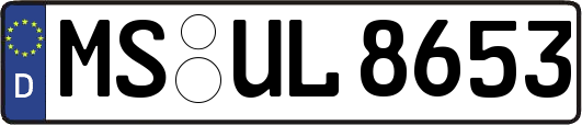 MS-UL8653