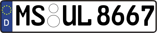 MS-UL8667