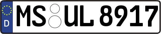 MS-UL8917