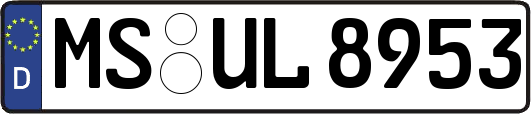 MS-UL8953