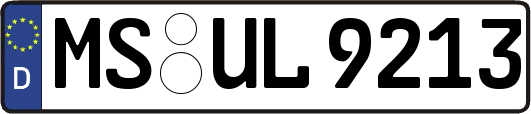 MS-UL9213