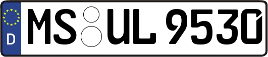 MS-UL9530