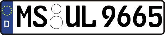 MS-UL9665