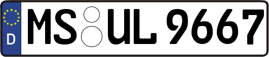 MS-UL9667