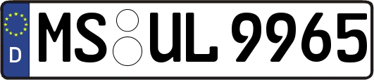 MS-UL9965