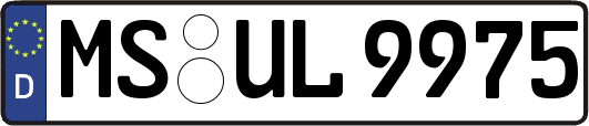 MS-UL9975