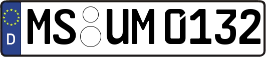 MS-UM0132