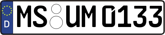 MS-UM0133