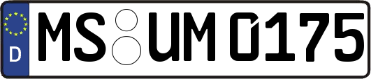 MS-UM0175