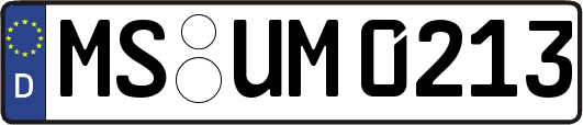 MS-UM0213