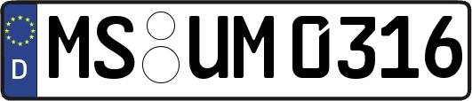 MS-UM0316