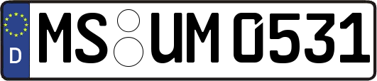 MS-UM0531