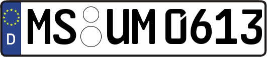 MS-UM0613