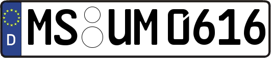 MS-UM0616