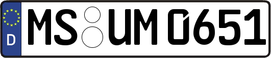 MS-UM0651