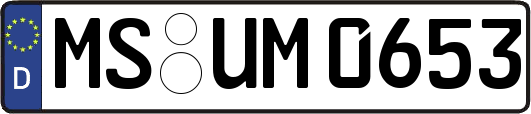 MS-UM0653