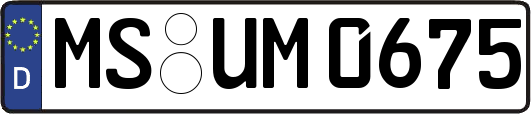 MS-UM0675