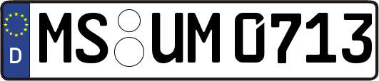 MS-UM0713