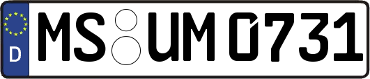MS-UM0731