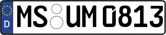 MS-UM0813