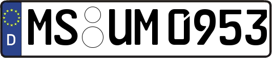 MS-UM0953