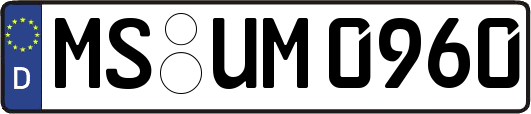 MS-UM0960