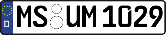 MS-UM1029