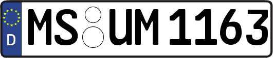 MS-UM1163
