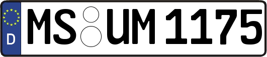 MS-UM1175