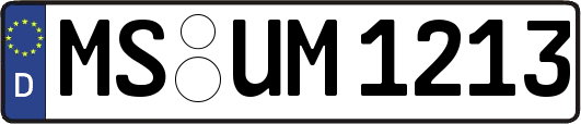 MS-UM1213