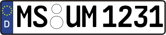 MS-UM1231