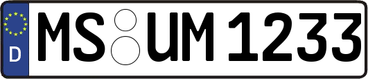 MS-UM1233