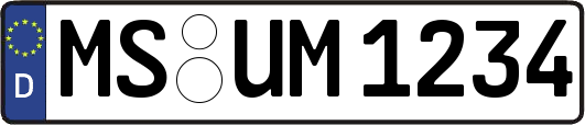 MS-UM1234