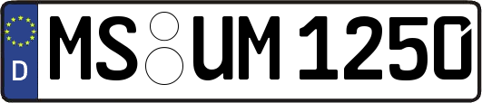 MS-UM1250