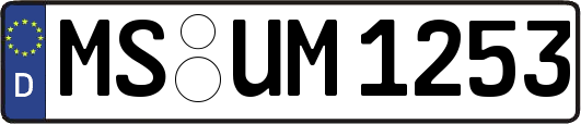 MS-UM1253