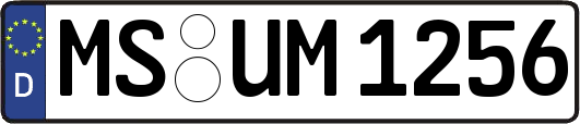 MS-UM1256