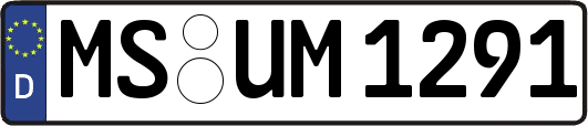 MS-UM1291