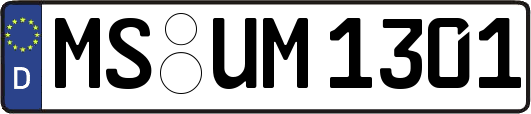 MS-UM1301